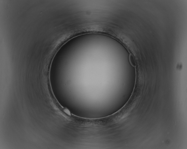 X0000093600625200710221548