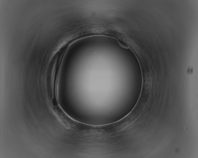 X0000093600626200710221548