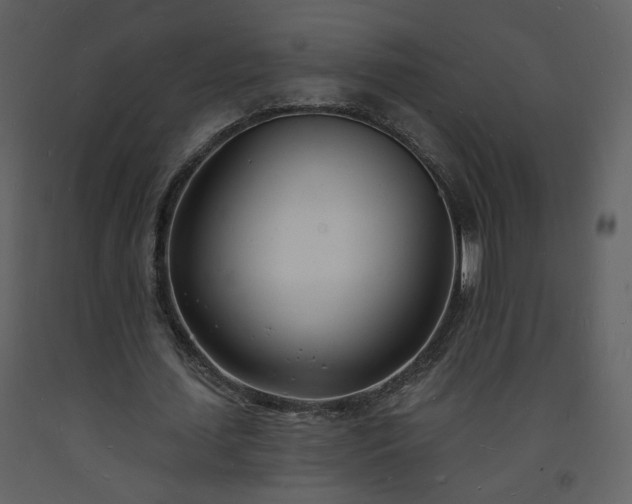 X0000093600627200710221548