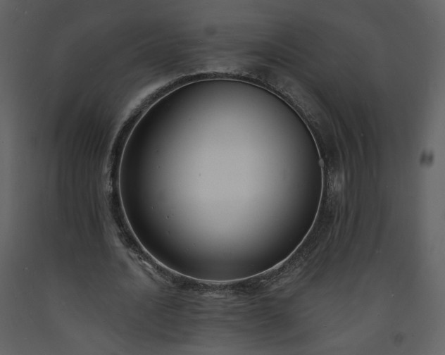 X0000093600628200710221548