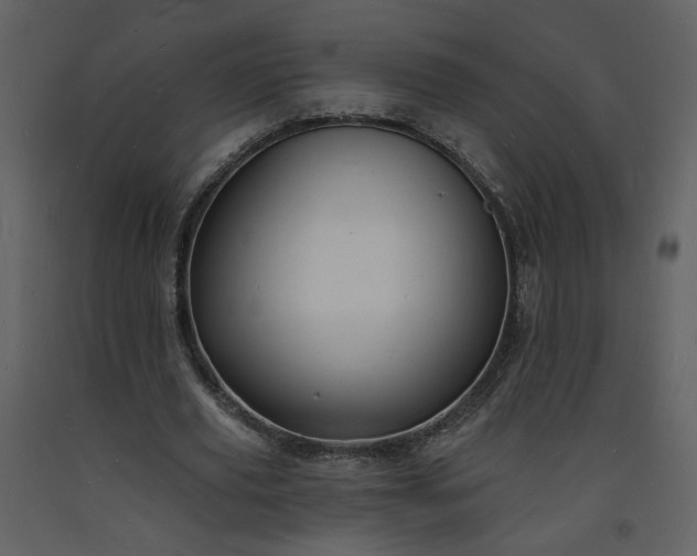 X0000093600629200710221548