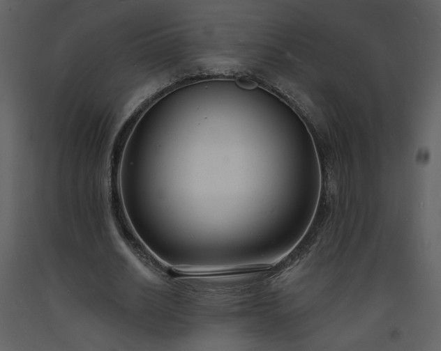 X0000093600630200710221548