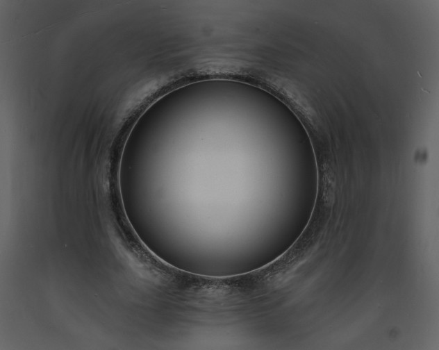 X0000093600631200710221548