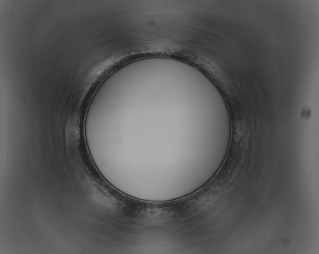 X0000093600632200710221548