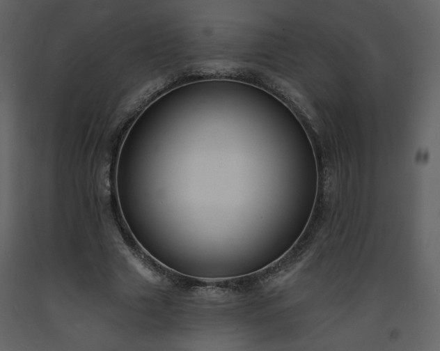 X0000093600633200710221548