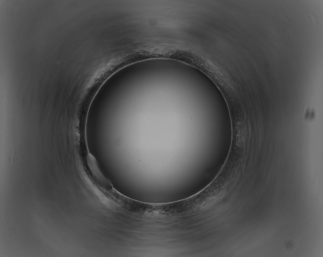 X0000093600634200710221548