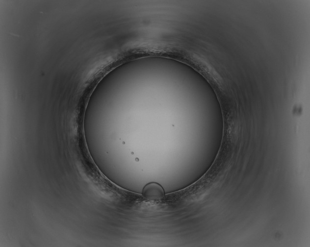 X0000093600635200710221548