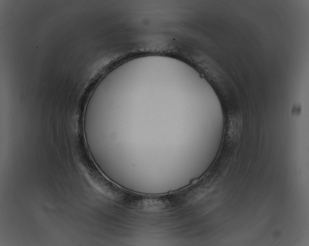 X0000093600636200710221548