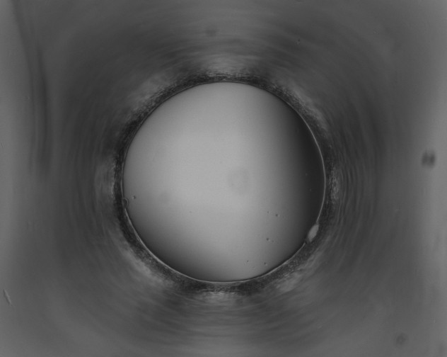 X0000093600637200710221548