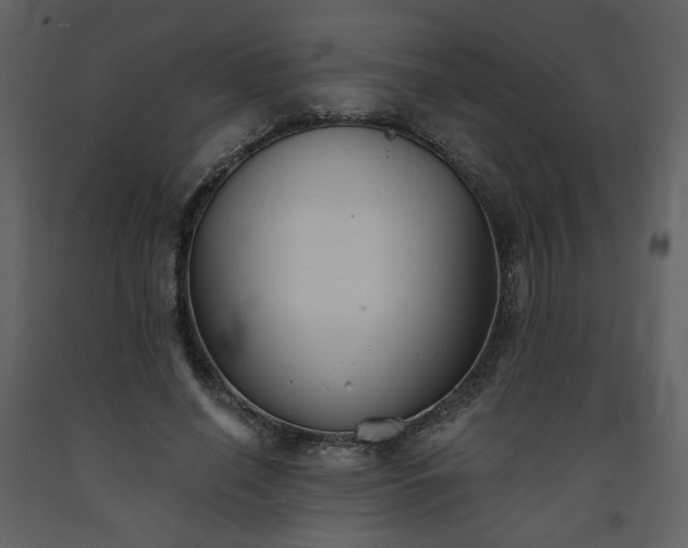 X0000093600638200710221548