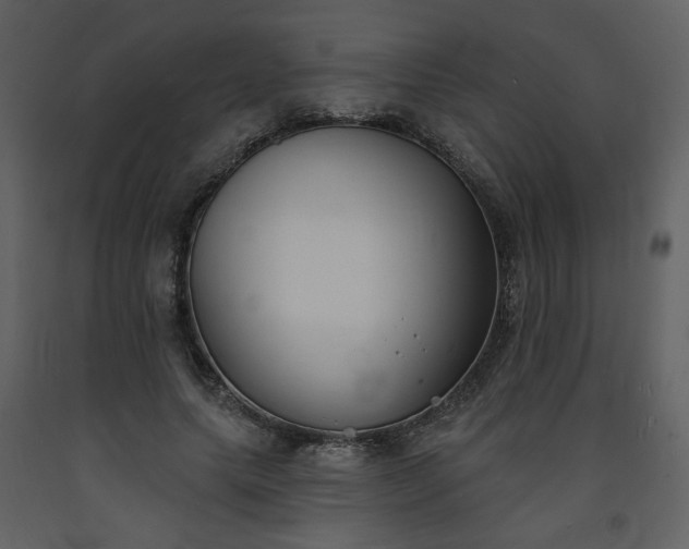 X0000093600639200710221548