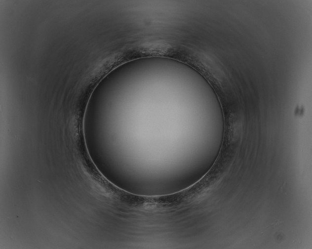 X0000093600641200710221548