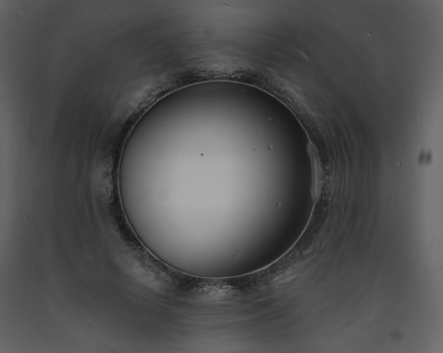 X0000093600642200710221548