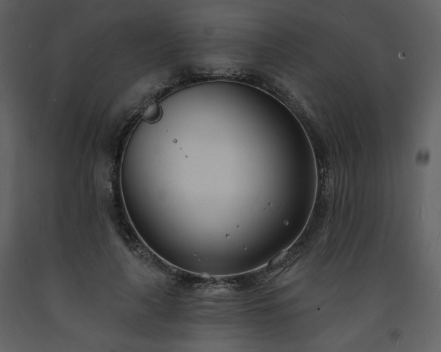 X0000093600643200710221548