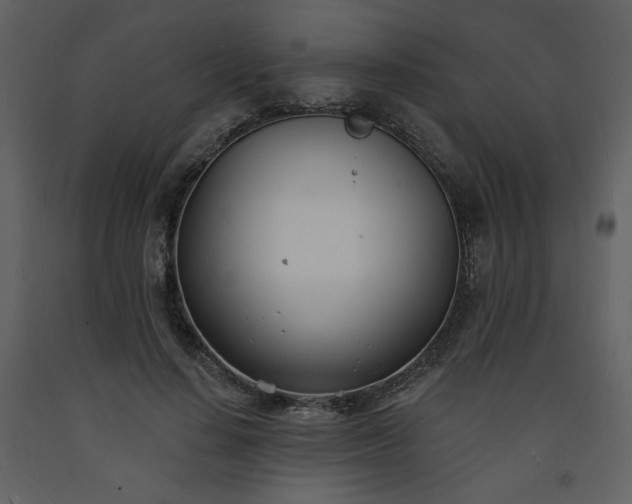 X0000093600644200710221548