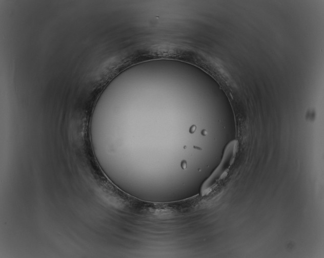 X0000093600645200710221548