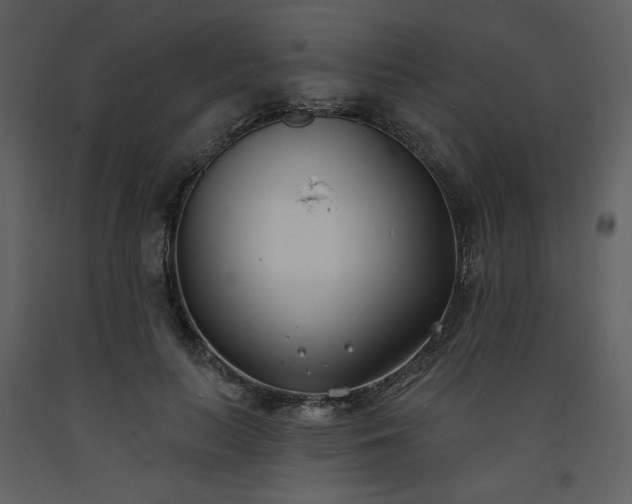 X0000093600647200710221548