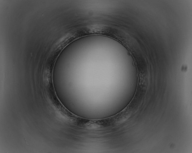 X0000093600648200710221548