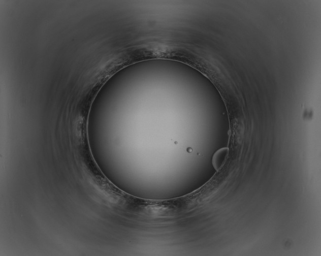 X0000093600650200710221548