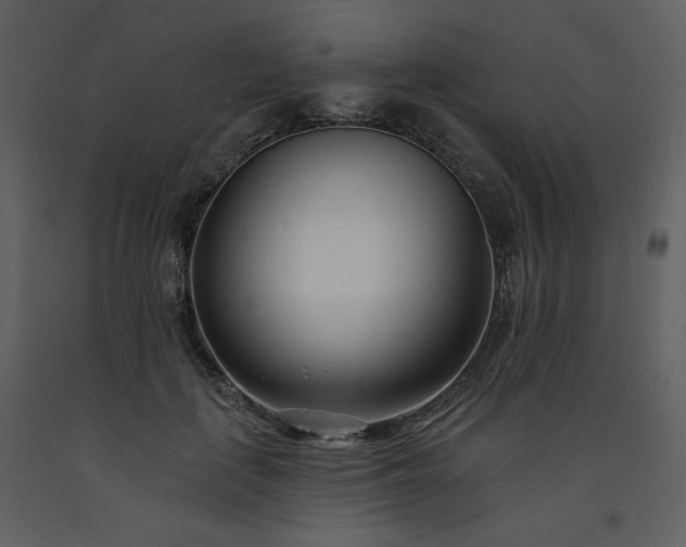 X0000093600651200710221548