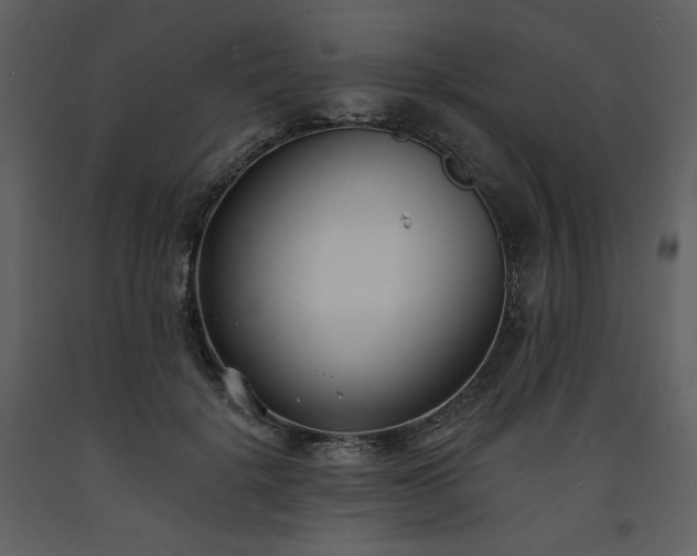 X0000093600652200710221548