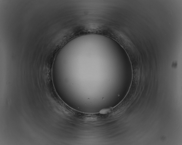 X0000093600653200710221548