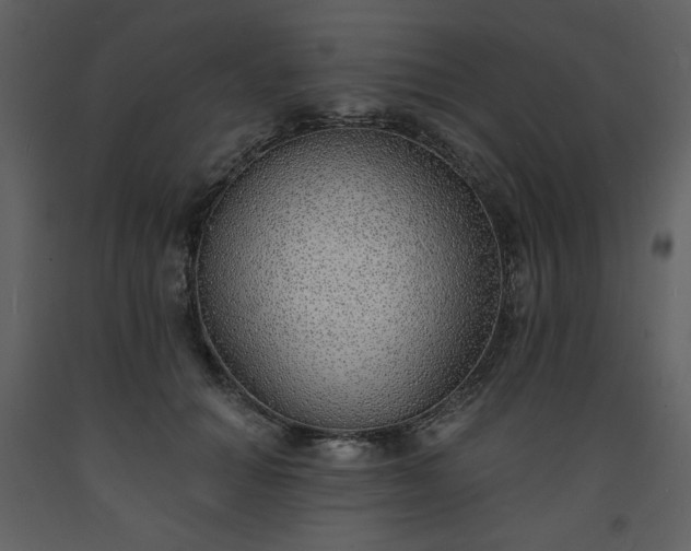 X0000093600654200710221548