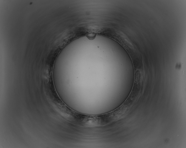 X0000093600655200710221548