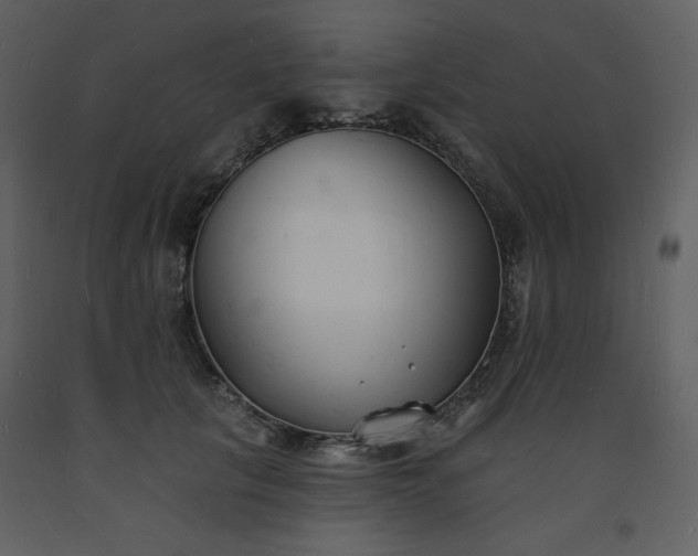 X0000093600657200710221548