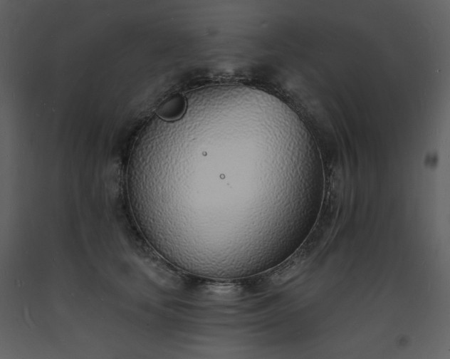 X0000093600659200710221548