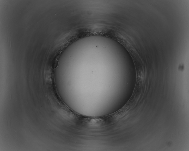 X0000093600663200710221548