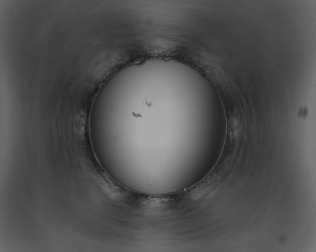 X0000093600664200710221548