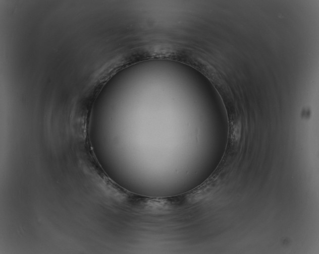 X0000093600666200710221548