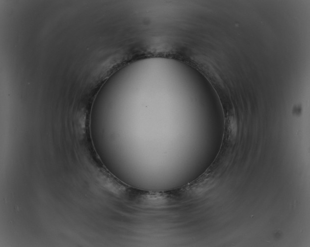 X0000093600668200710221548