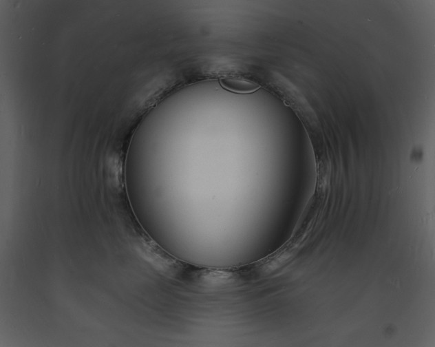 X0000093600669200710221548