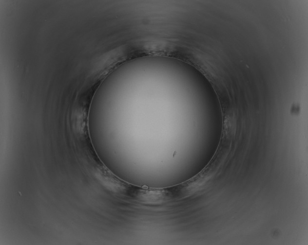 X0000093600671200710221548