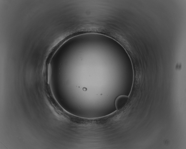 X0000093600674200710221548