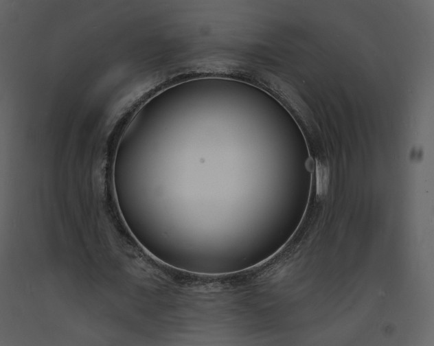 X0000093600675200710221548