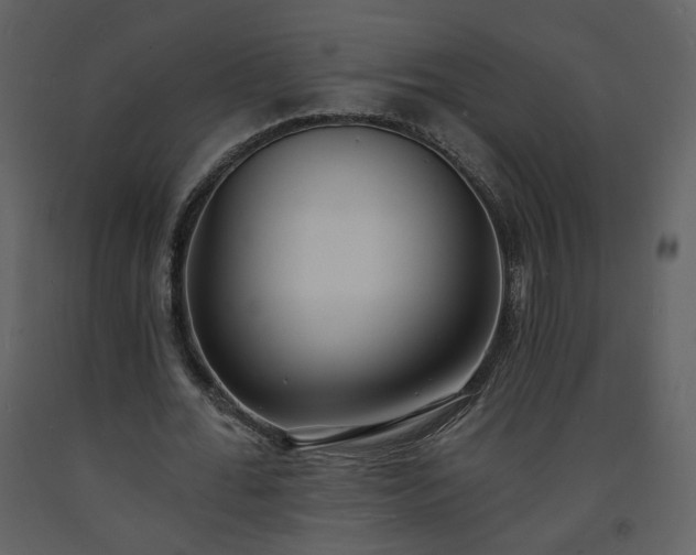 X0000093600676200710221548