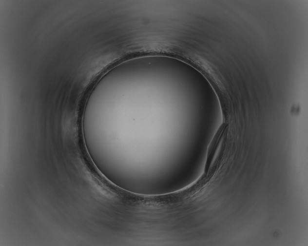 X0000093600677200710221548