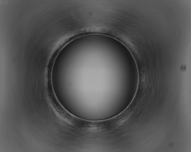 X0000093600678200710221548