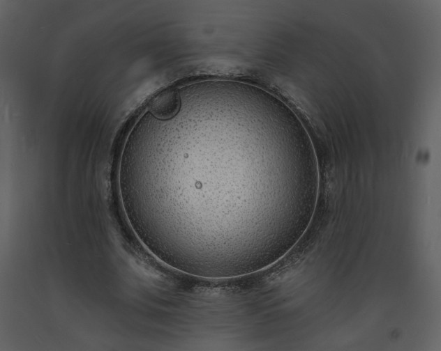 X0000093600679200710221548