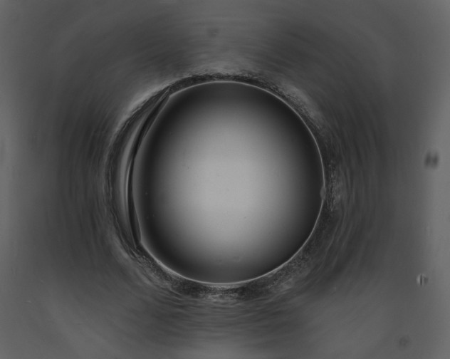 X0000093600680200710221548