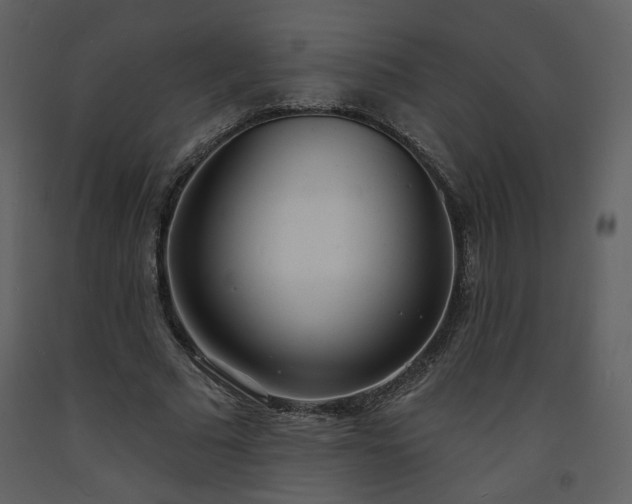 X0000093600681200710221548