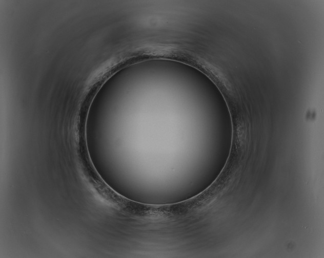 X0000093600682200710221548