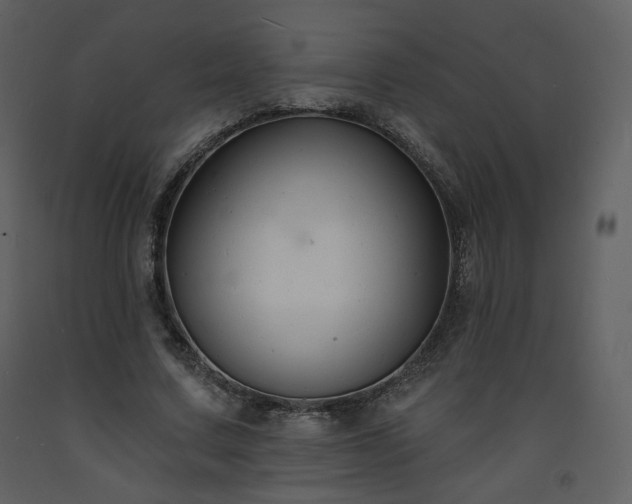 X0000093600683200710221548