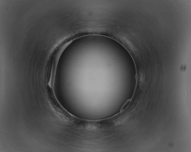 X0000093600684200710221548