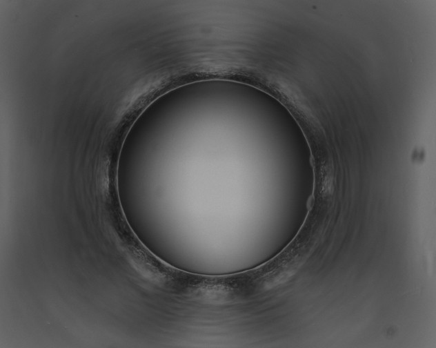 X0000093600685200710221548