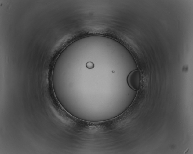 X0000093600686200710221548