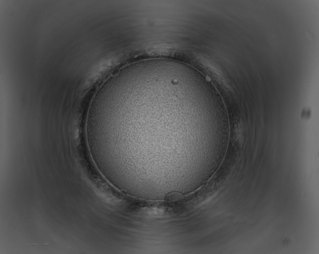 X0000093600687200710221548